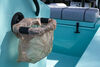 SeaSucker garbage bag holder suctioned to boat console.