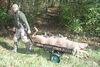 Man carting deer loaded on Viking Solutions Tilt-N-Go II hunting cart.