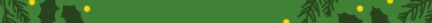 Green Holiday Banner